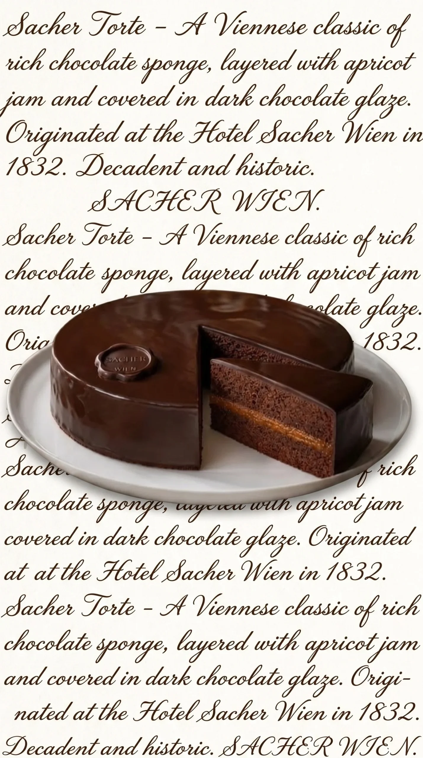 Classic Sachertorte dessert featuring chocolate cake and apricot jam